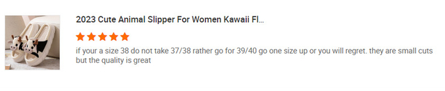 pantoufles d'animaux pour femmes