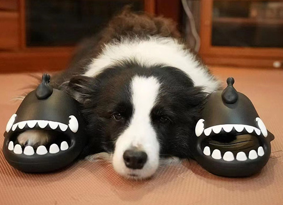 Transformez vos pieds pour qu'ils soient les plus attrayants pour que les gens vous voient avec nos pantoufles !